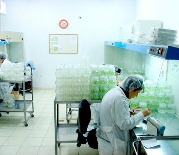 Tissue Culture Lab